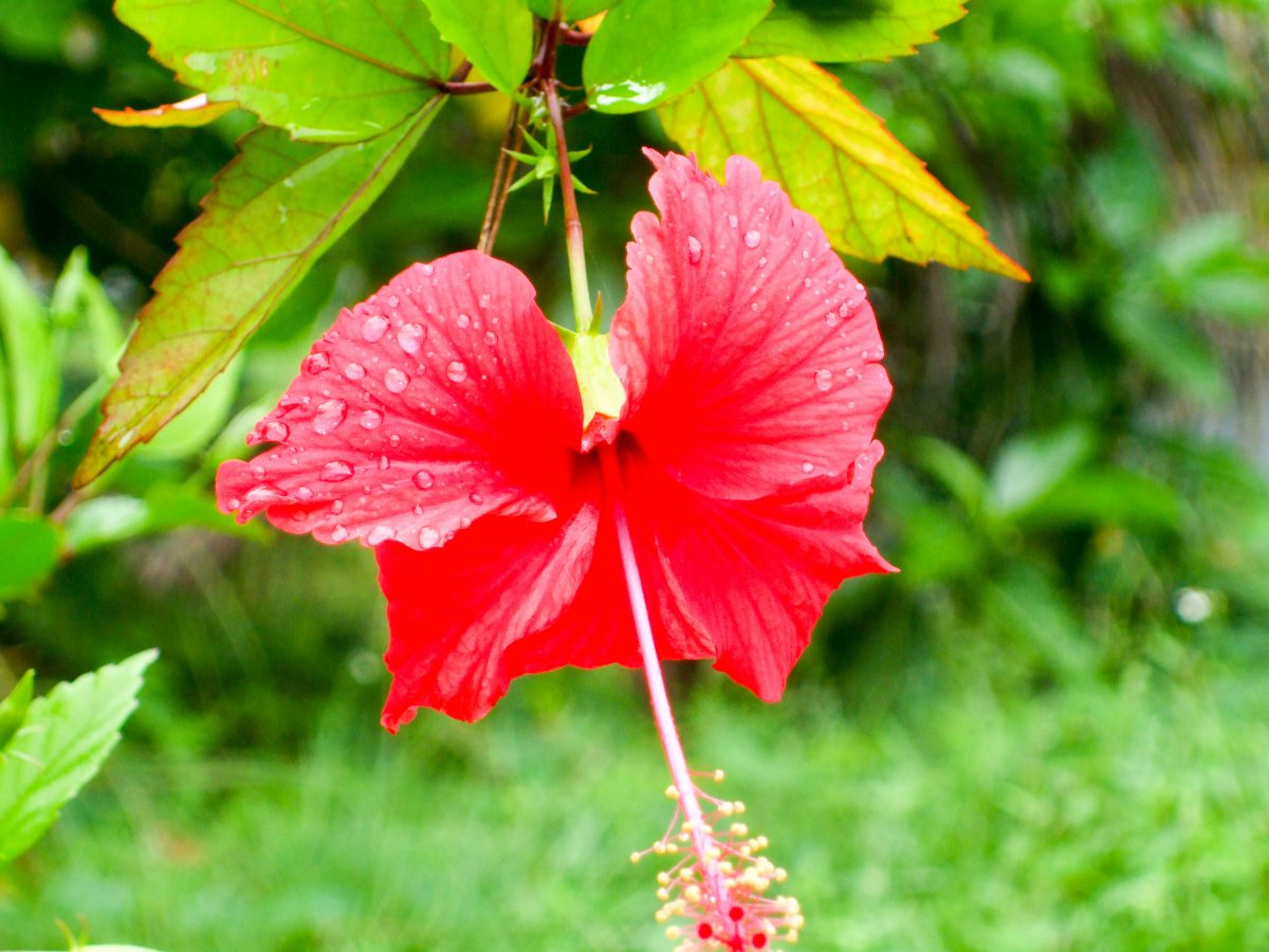 My Images 015